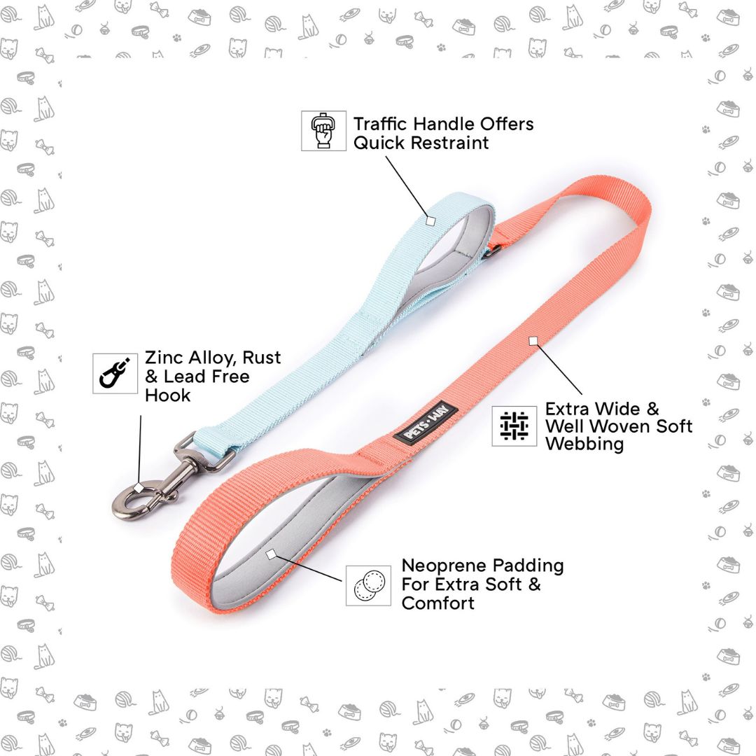 feature image of Peach & Sky dual-handle dog leash-petsway