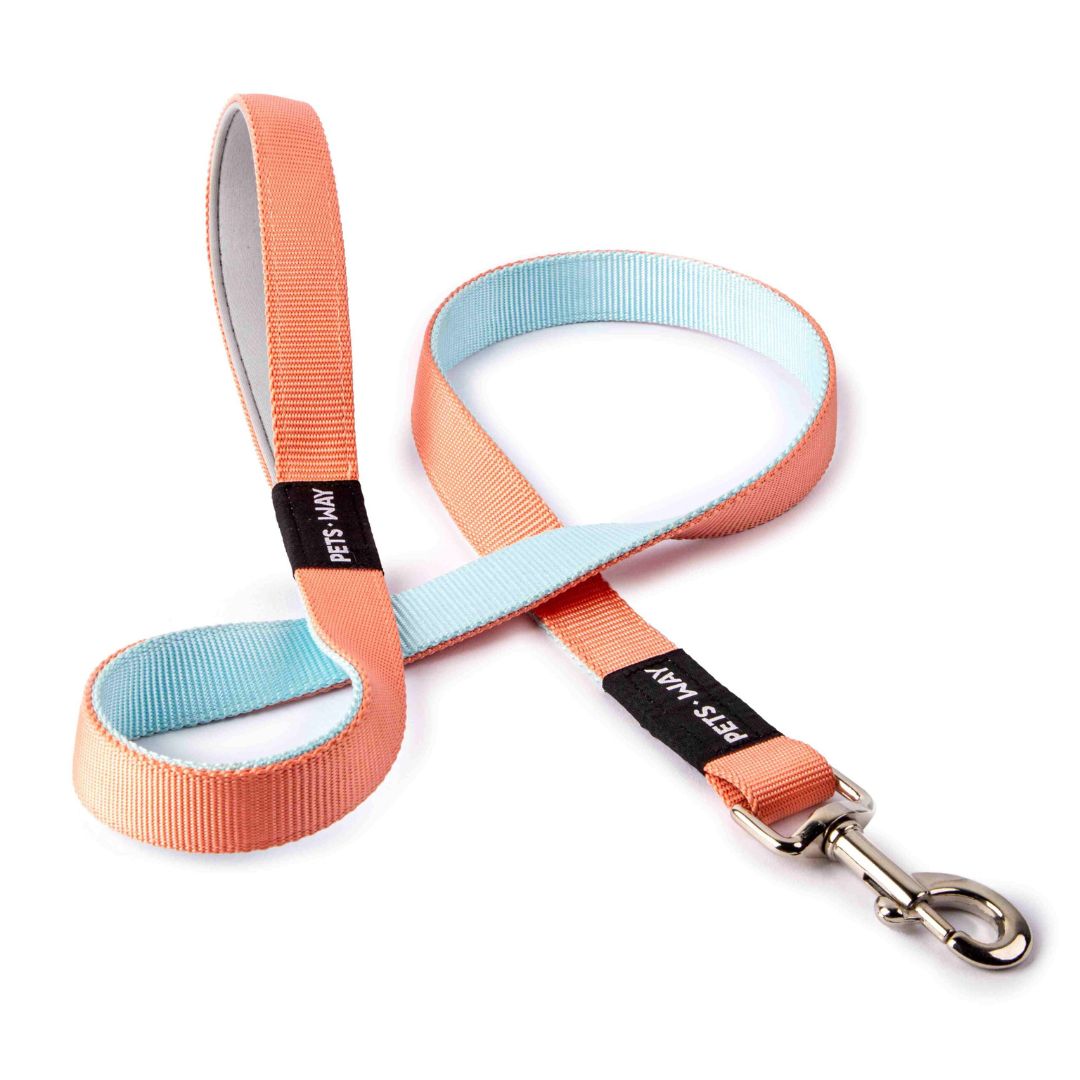 Peach & Sky dual-color dog leash-petsway