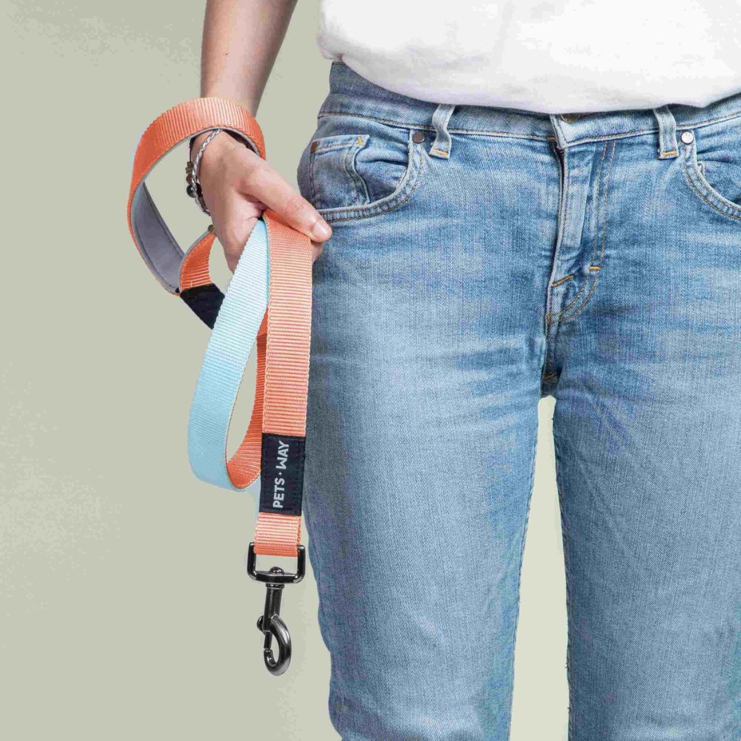 carry Peach & Sky dual-color dog leash-petsway