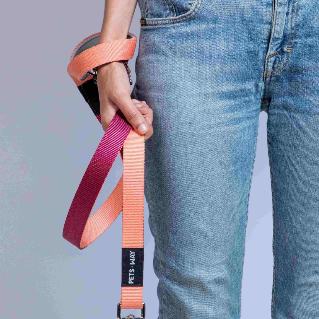 carry Peach & Wine Dual Color Dog Leash-petsway