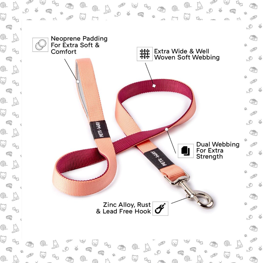 feature image for Peach & Wine Dual Color Dog Leash-petsway