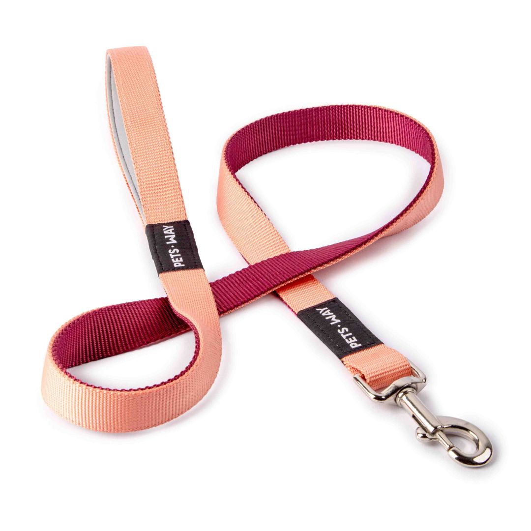 Peach & Wine Dual Color Dog Leash-petsway