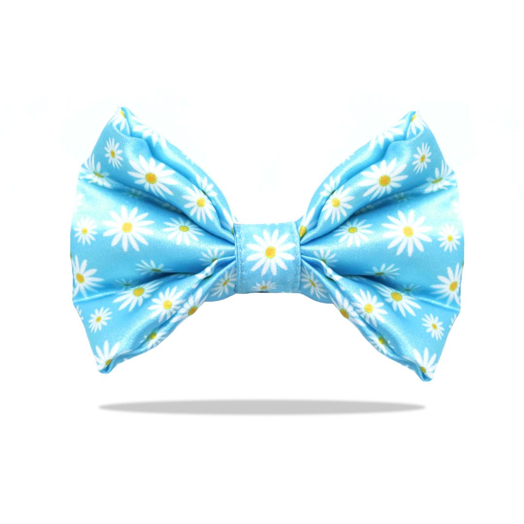 Petal Bow Tie-petsway