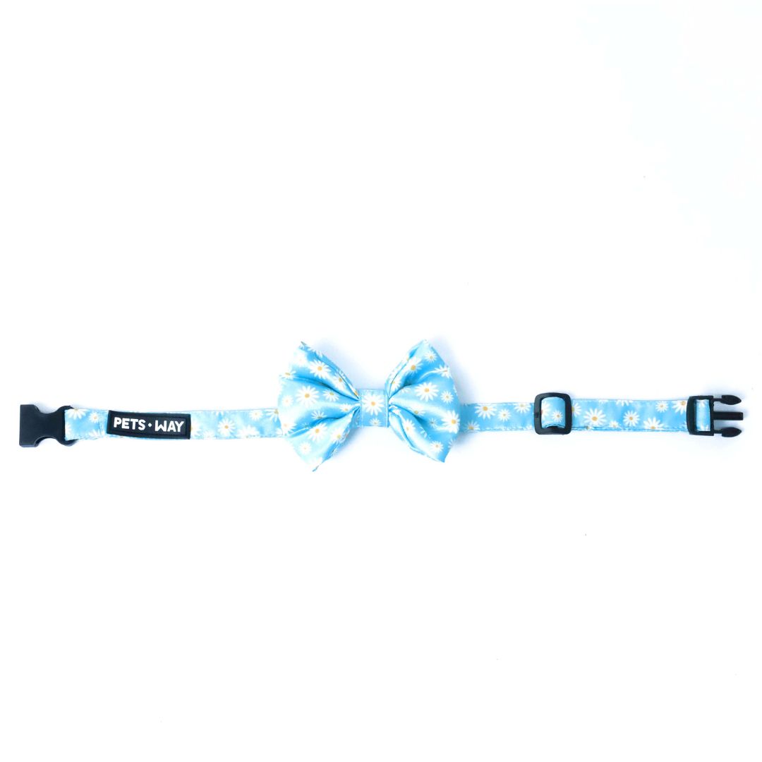 front of Petal Bow Tie-petsway