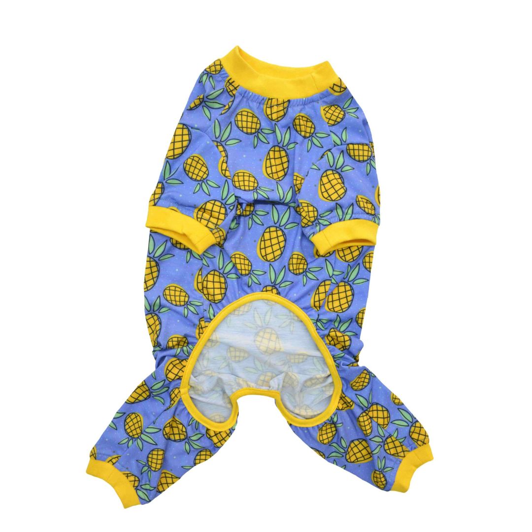 front of Pineapple Printed Dog Jumpsuit-petsway