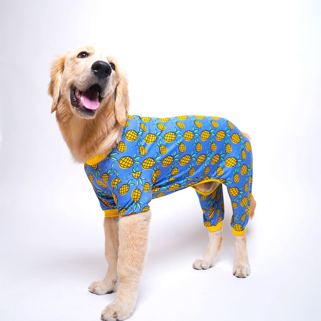 standing dog wear Pineapple Printed Dog Jumpsuit-petsway
