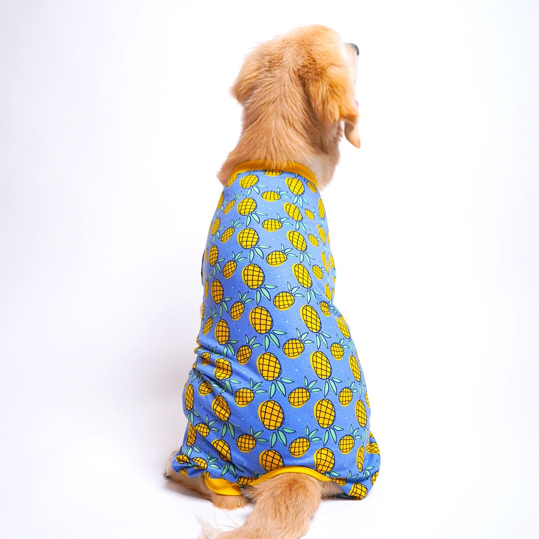 dog wear back side of Pineapple Printed Dog Jumpsuit-petsway