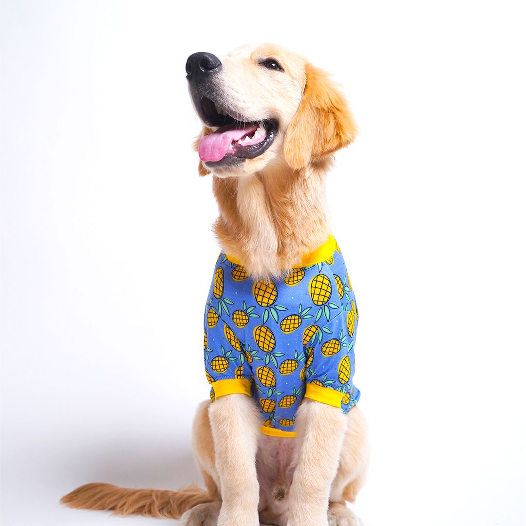 sitting dog wear Pineapple Dog T-Shirt-petsway