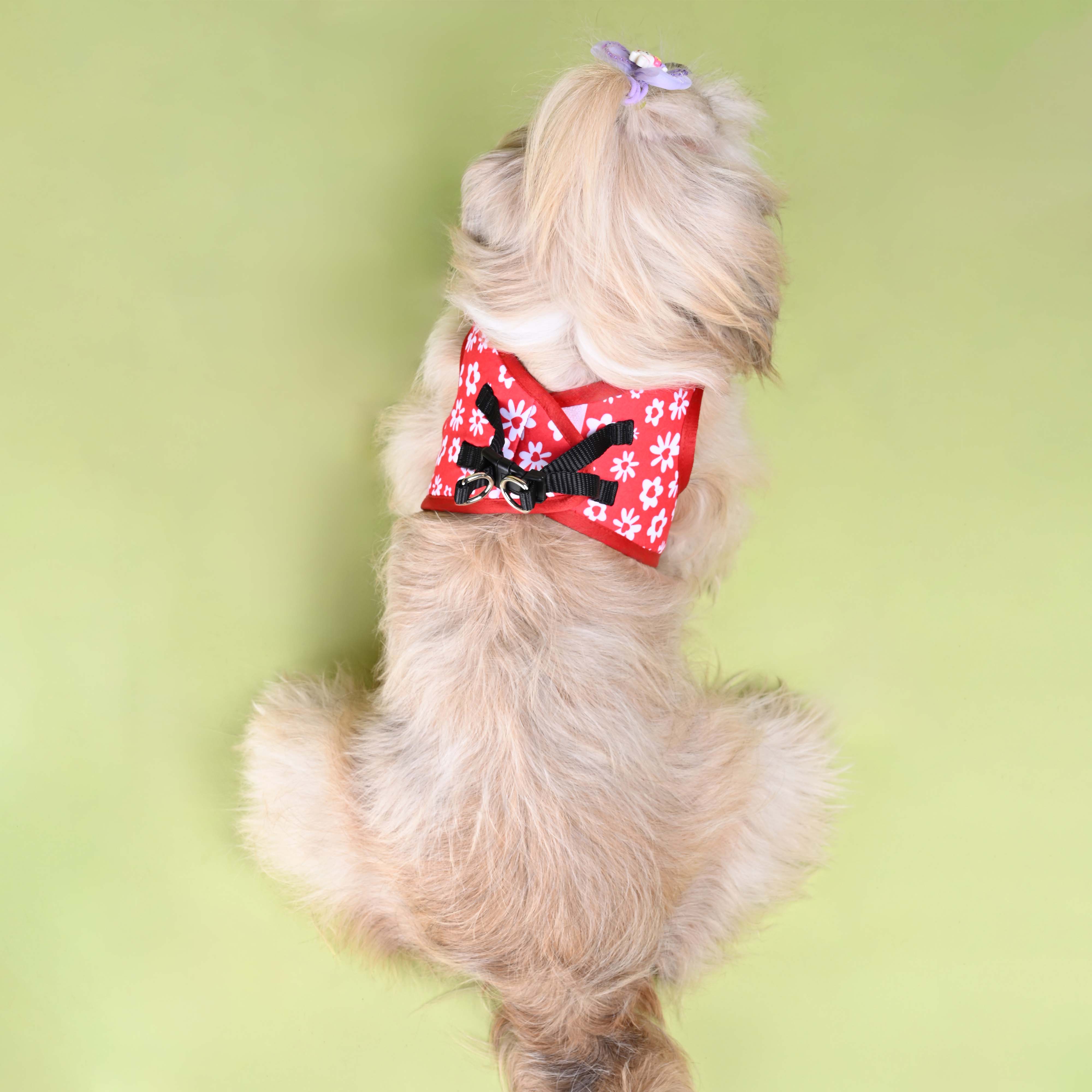 Cupid Full Body Comfort Harness (Small Breed)
