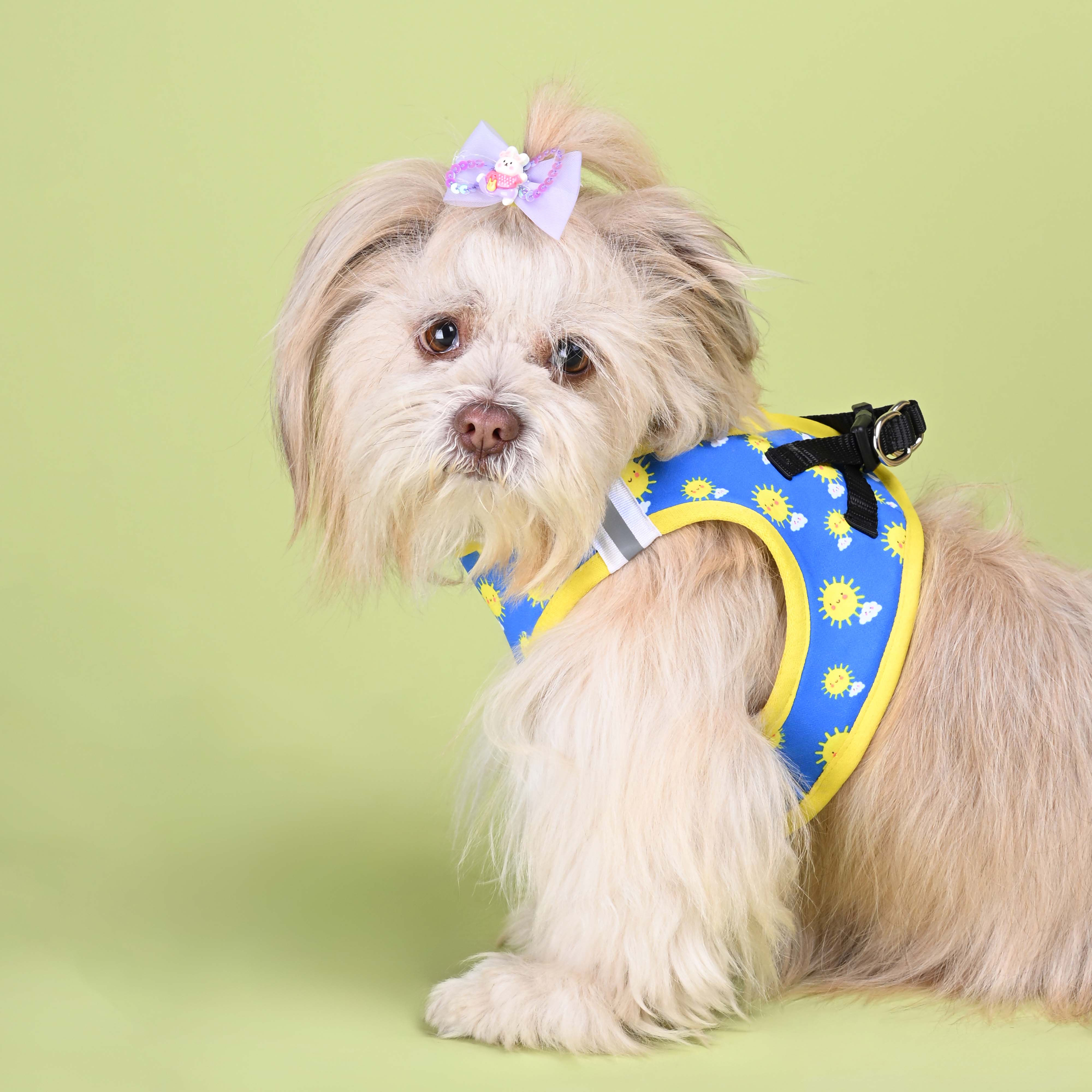 Sunny Full Body Comfort Harness (Small Breed)