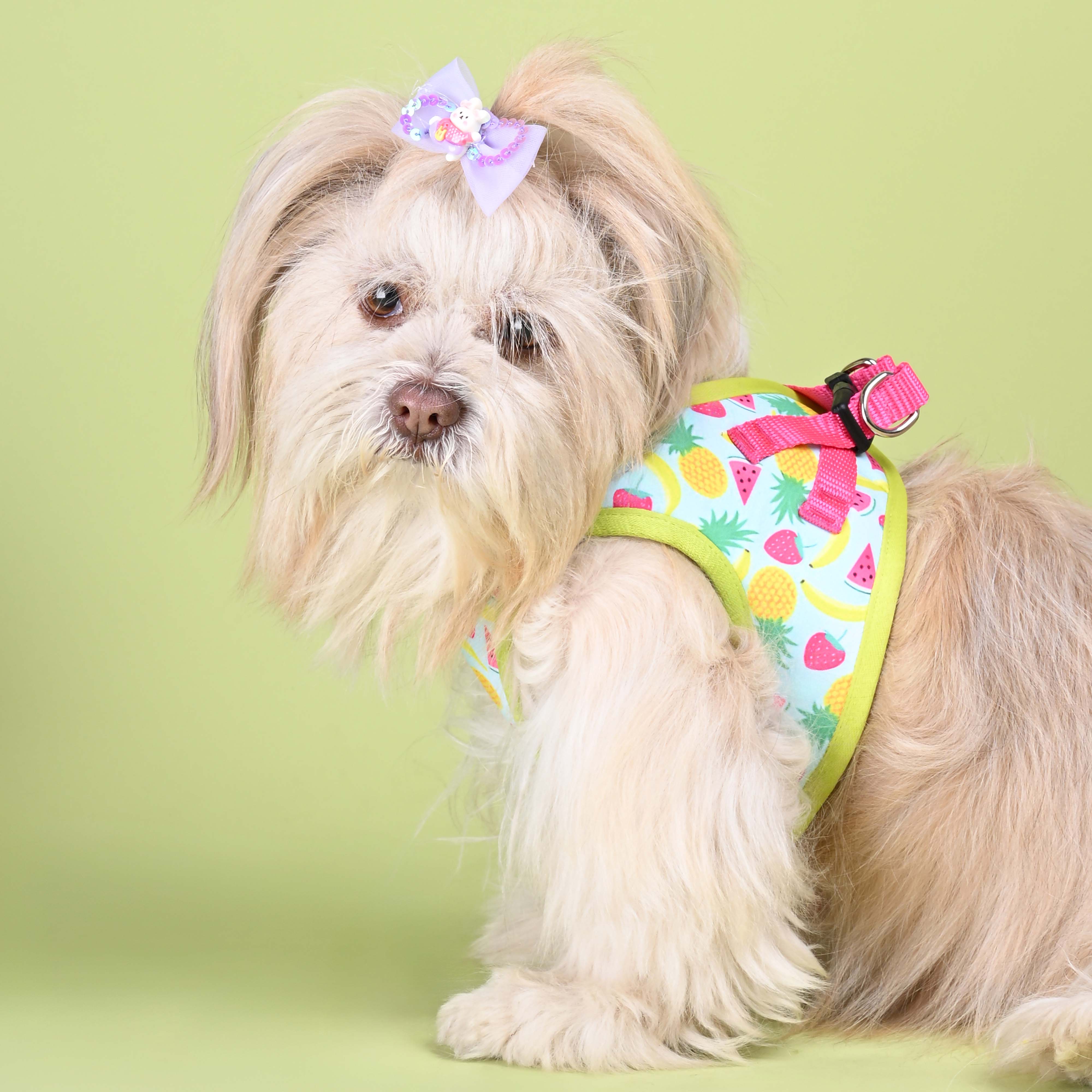 Fruity Full Body Comfort Harness (Small Breed)