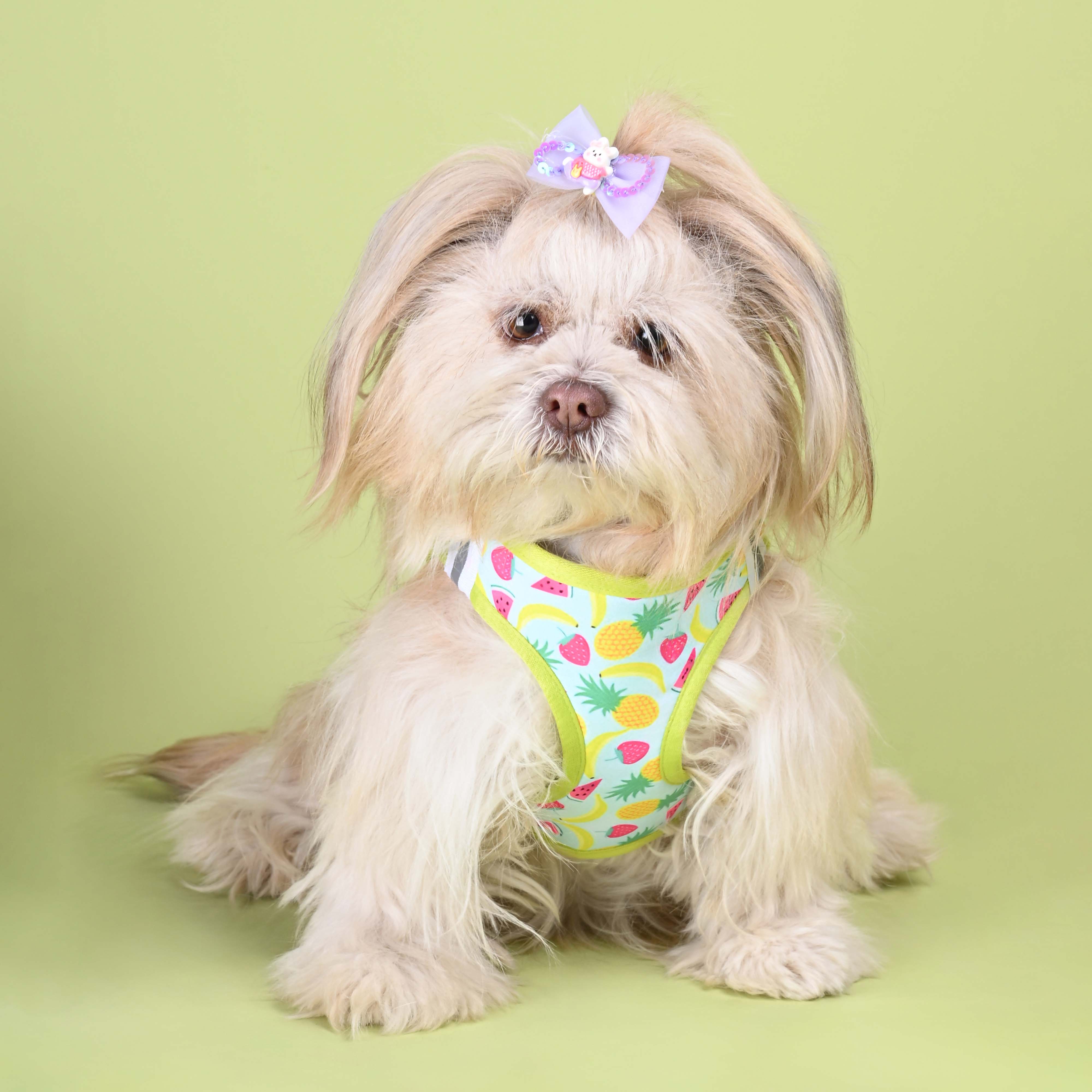 Fruity Full Body Comfort Harness (Small Breed)