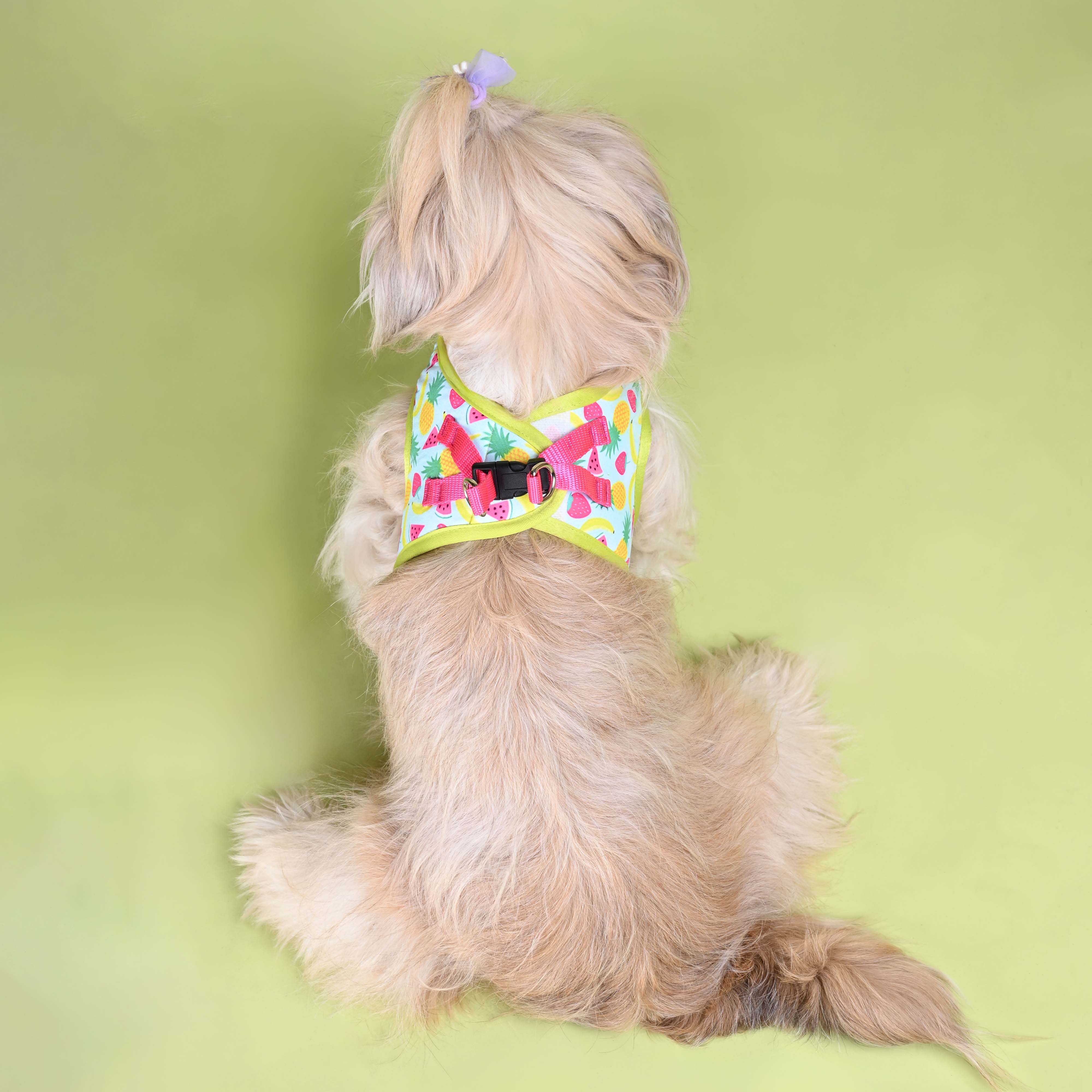 Fruity Full Body Comfort Harness (Small Breed)