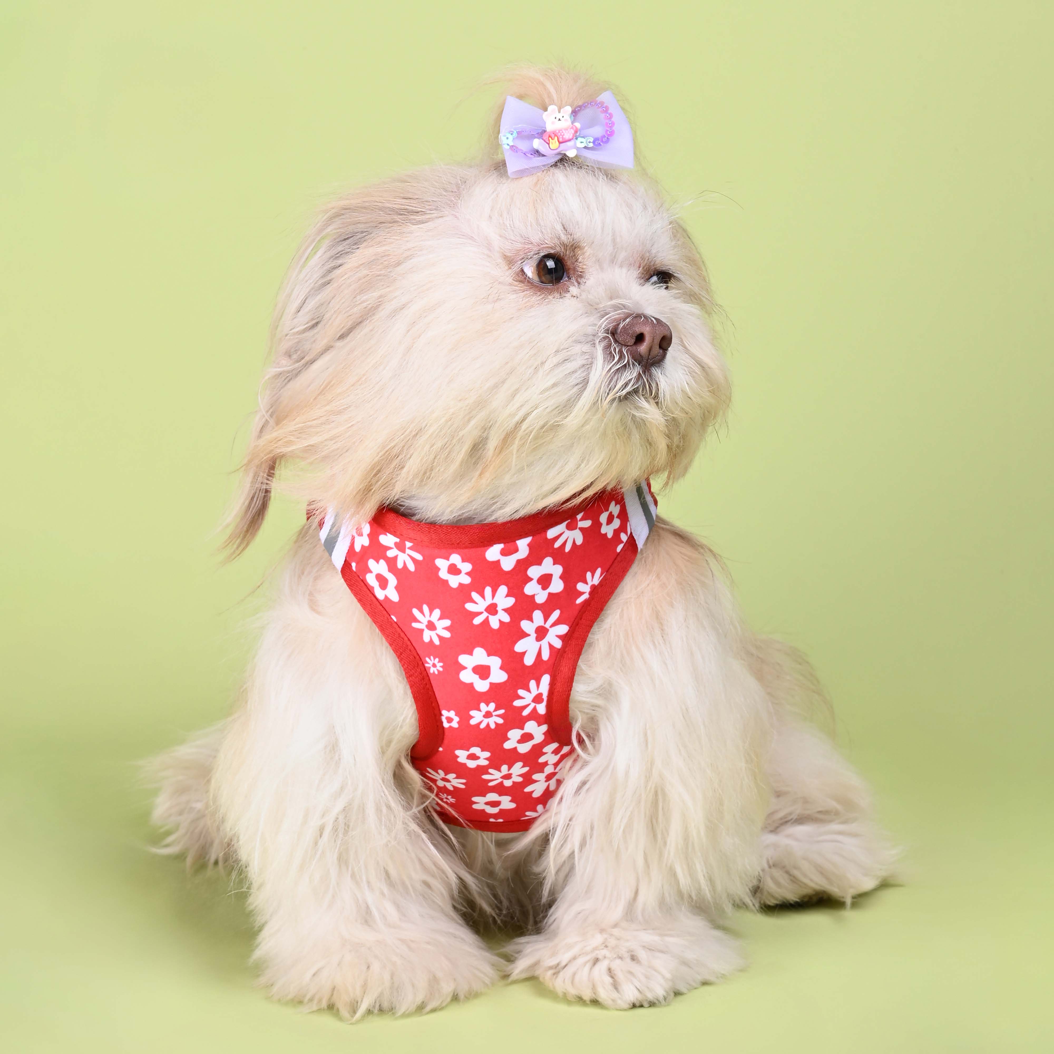 Cupid Full Body Comfort Harness (Small Breed)