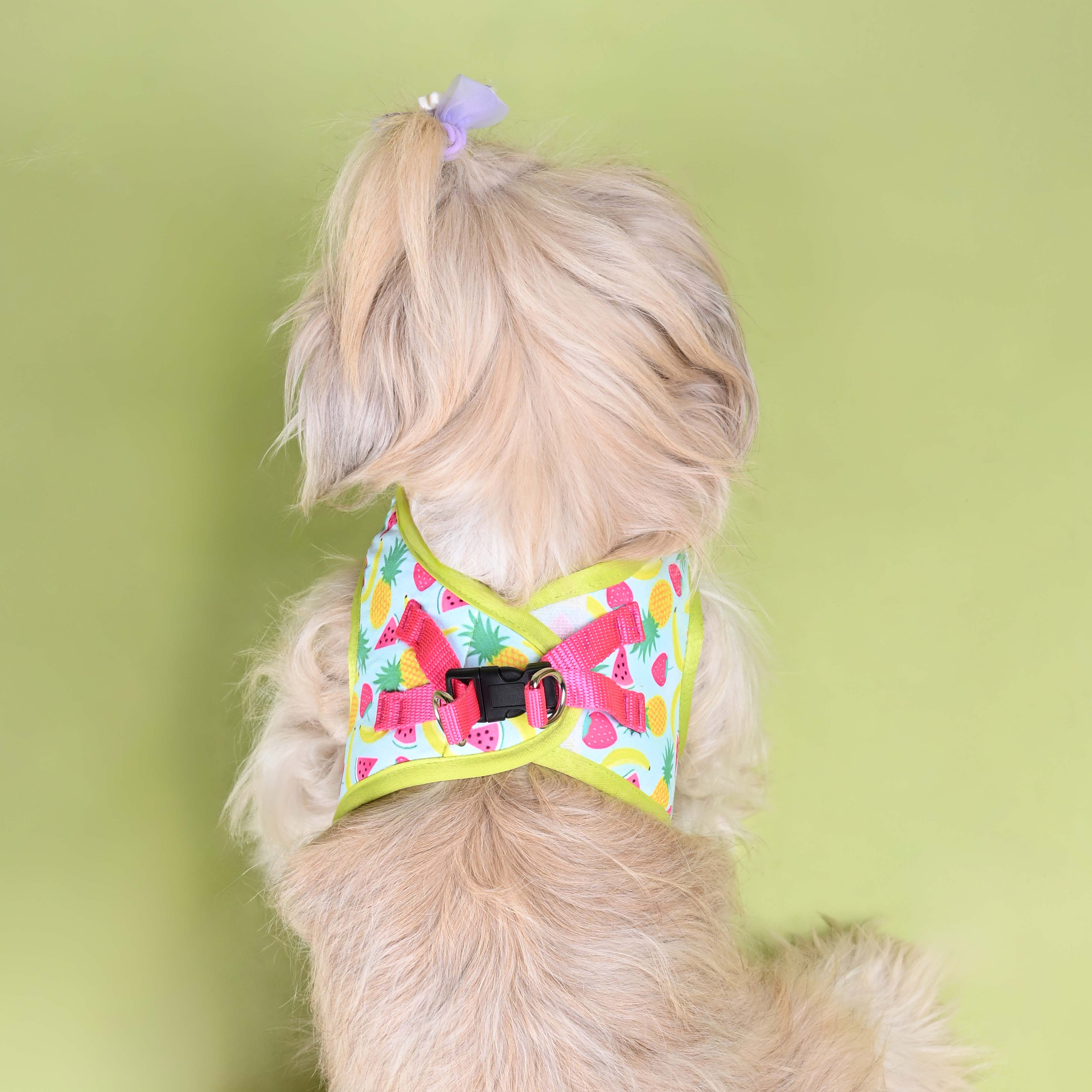 Fruity Full Body Comfort Harness (Small Breed)