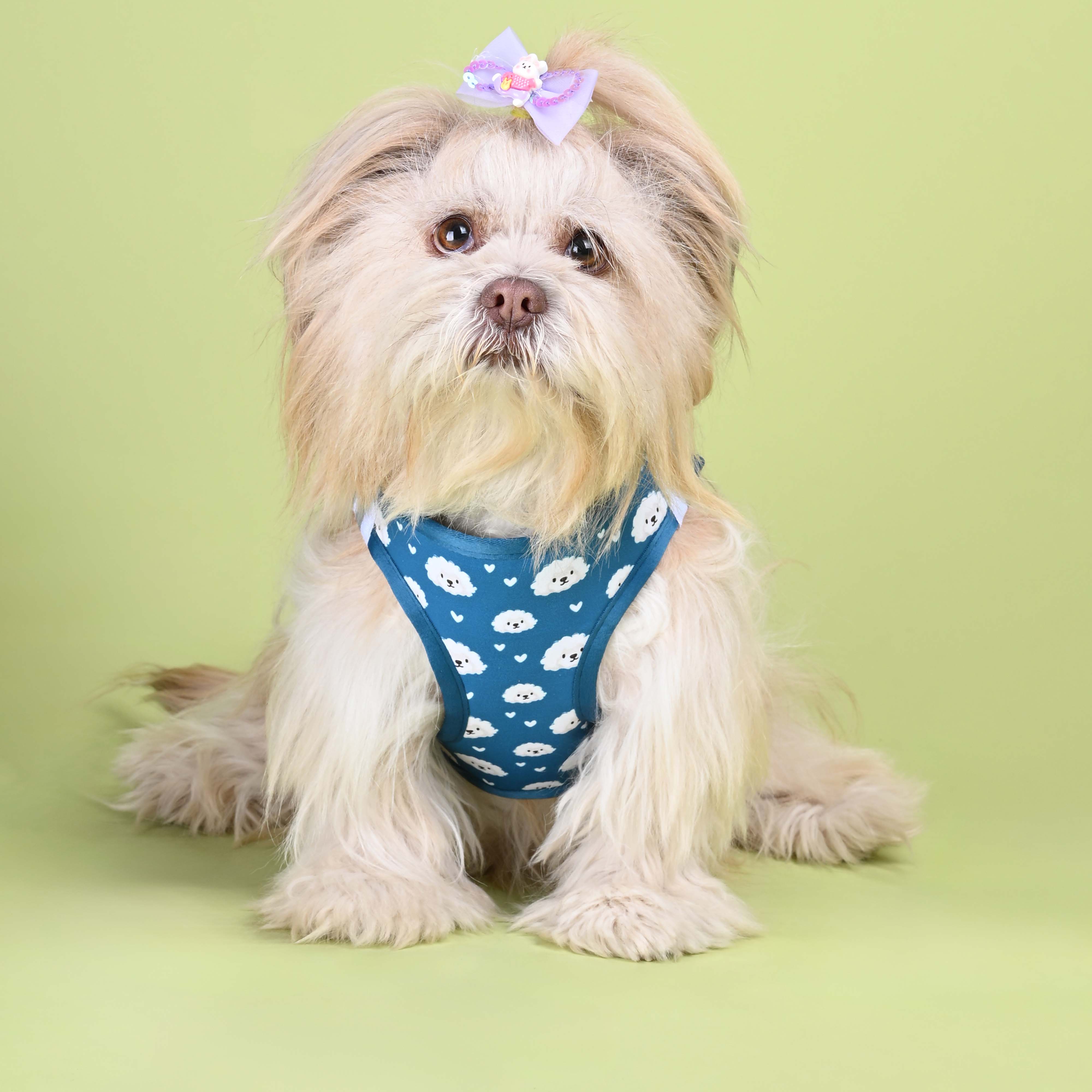 Floof Full Body Comfort Harness (Small Breed)