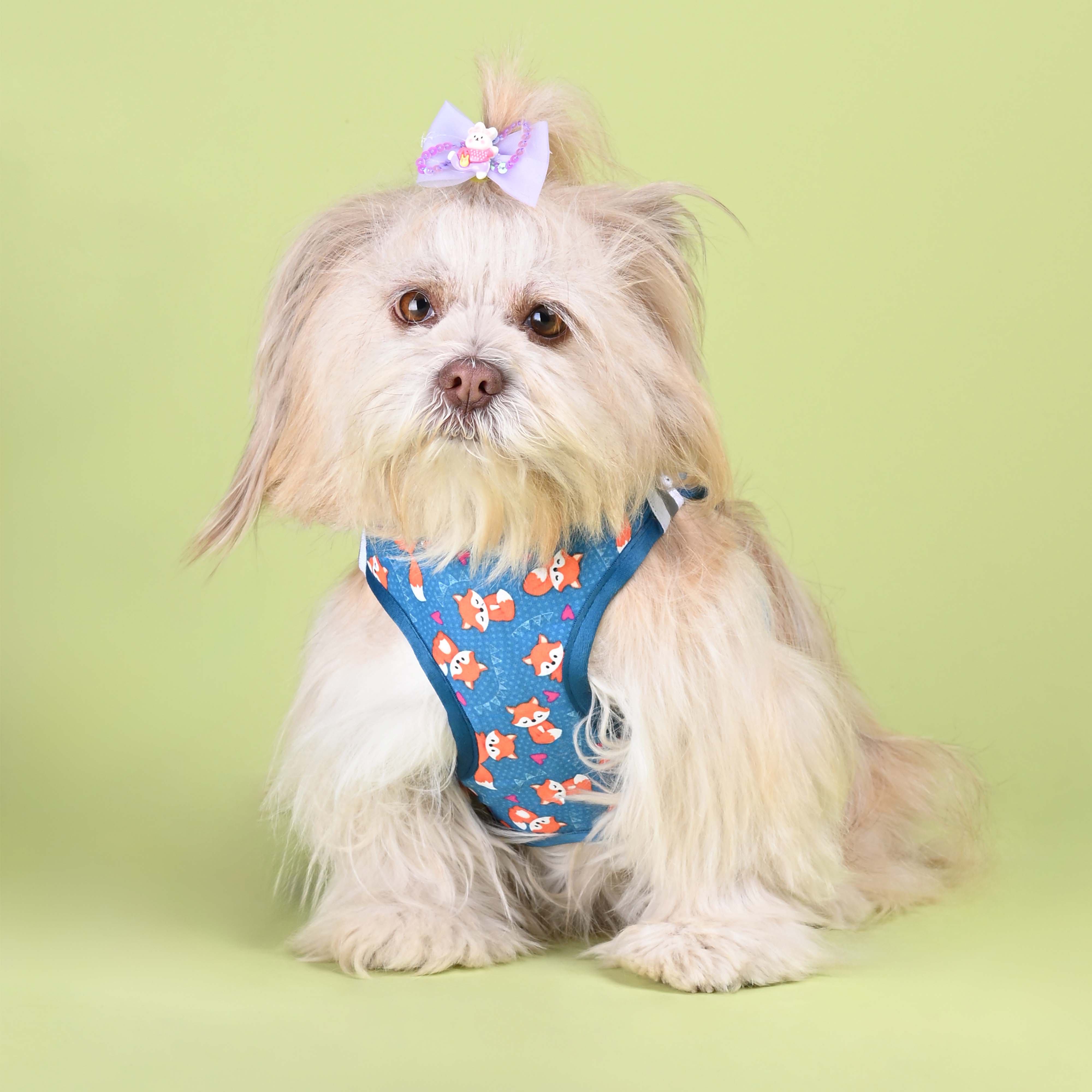 Foxie Full Body Comfort Harness (Small Breed)