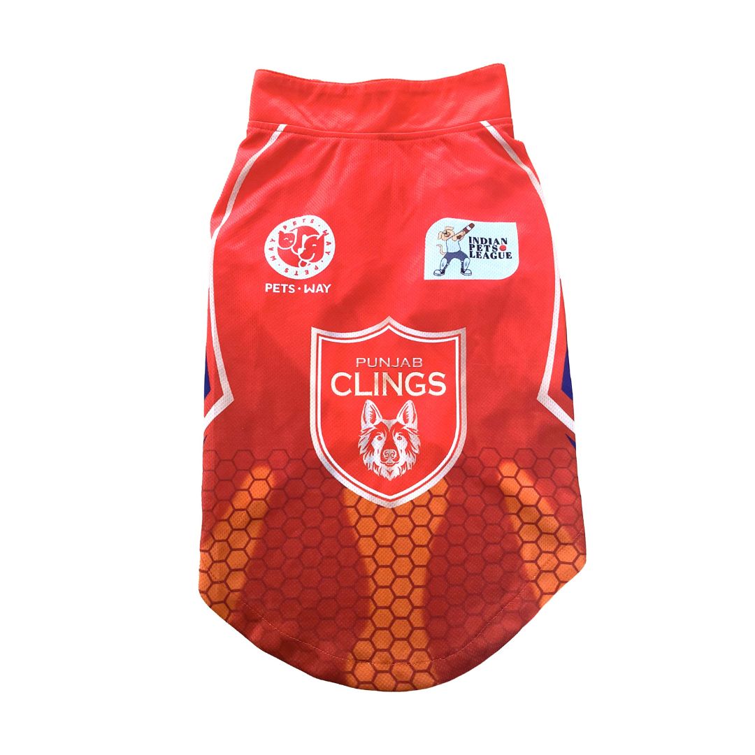 PBK IPL Jersey