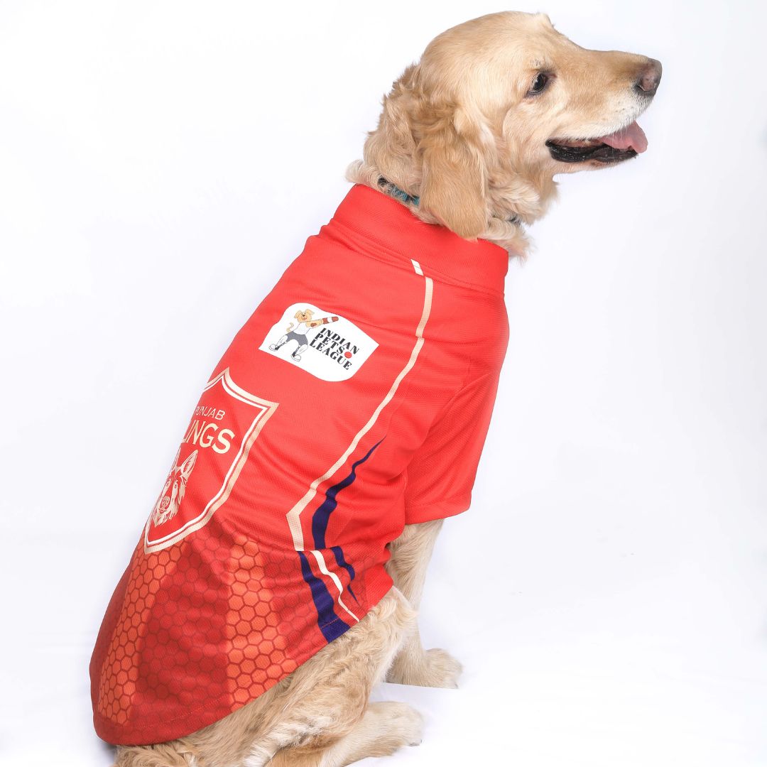 Punjab Kings Dog Jersey - Pets Way