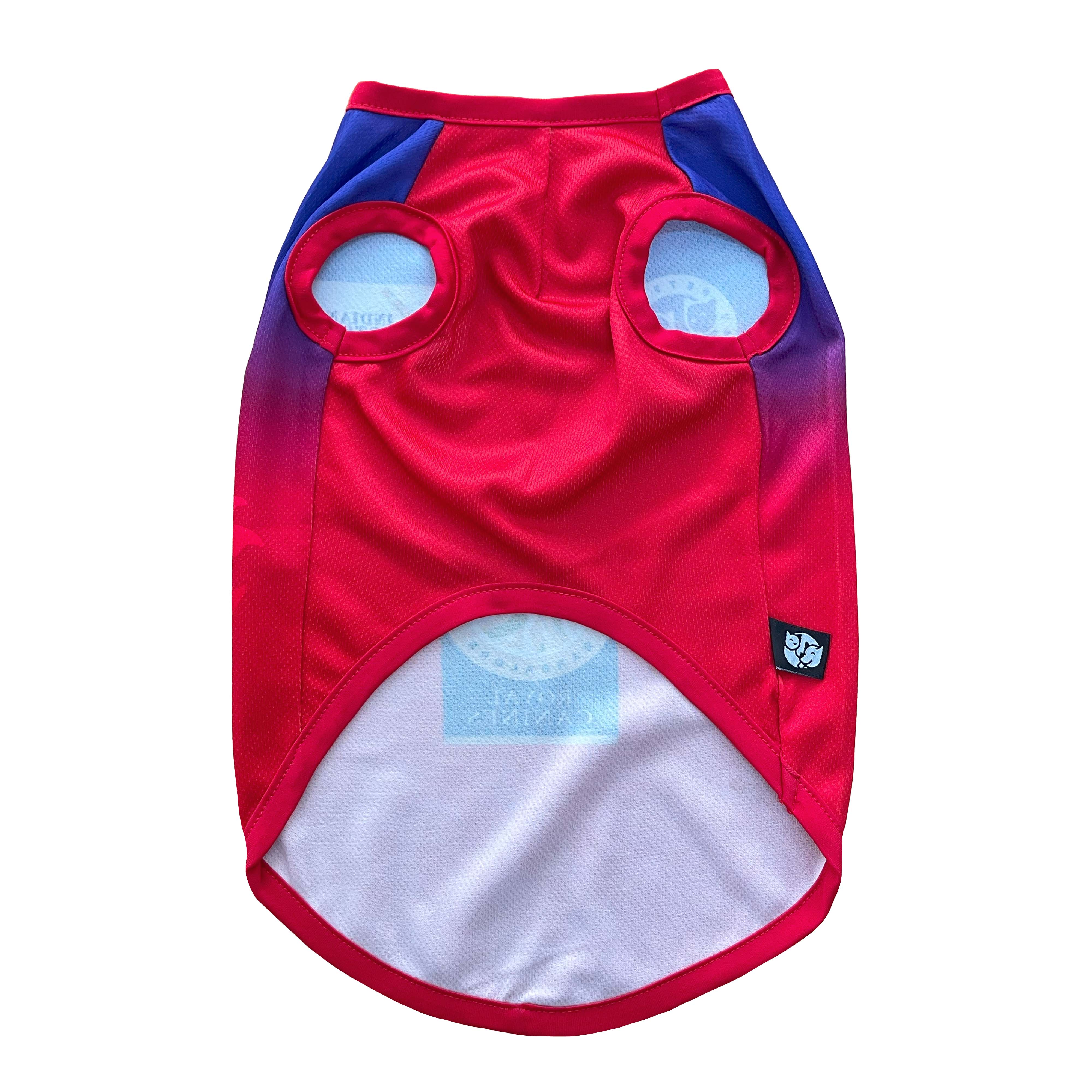 ROYAL CANINES BENGALURU (RCB) IPL DOG VEST