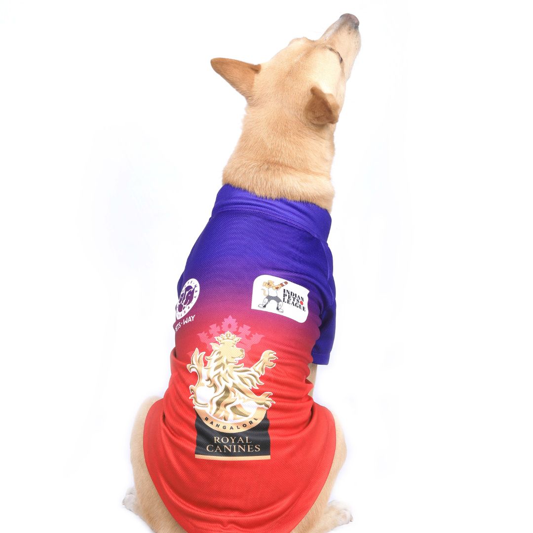 RCB Dog Jersey