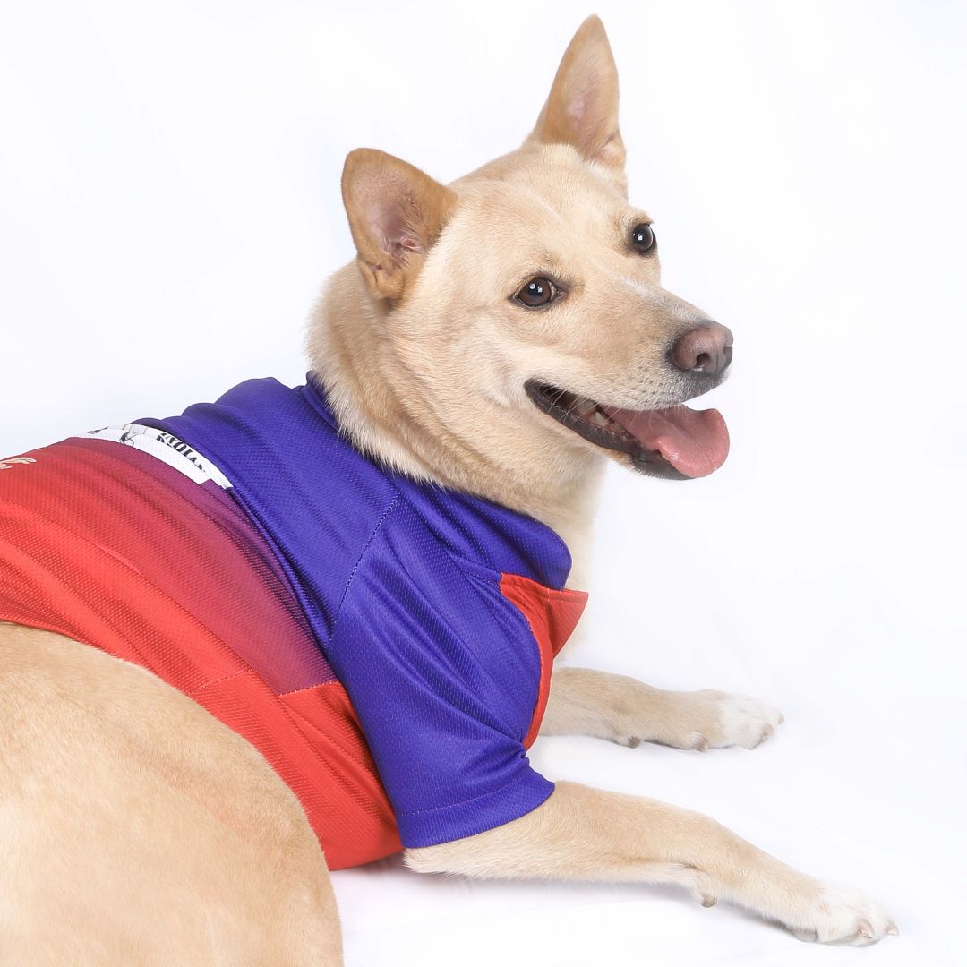 RCB Dog Jersey - Pets Way
