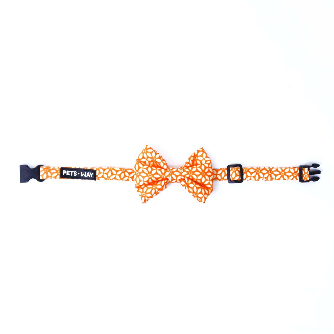 front of Rangoli Bow Tie-petsway
