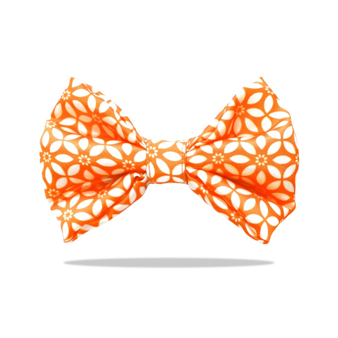 Rangoli Bow Tie-petsway