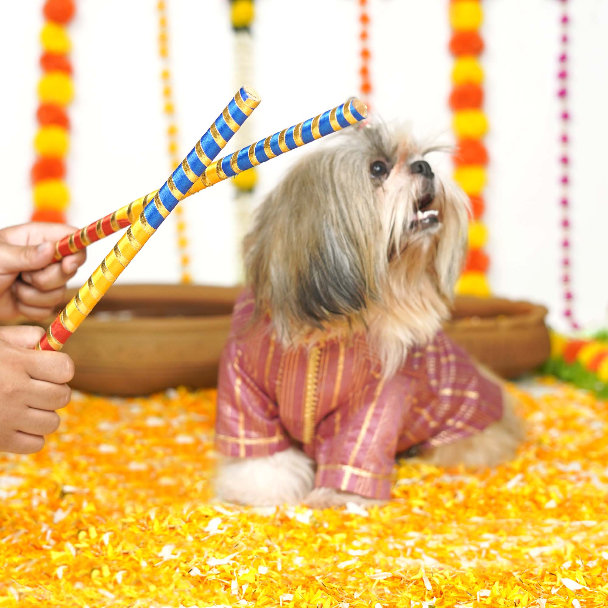 Rangrez Dog kurta
