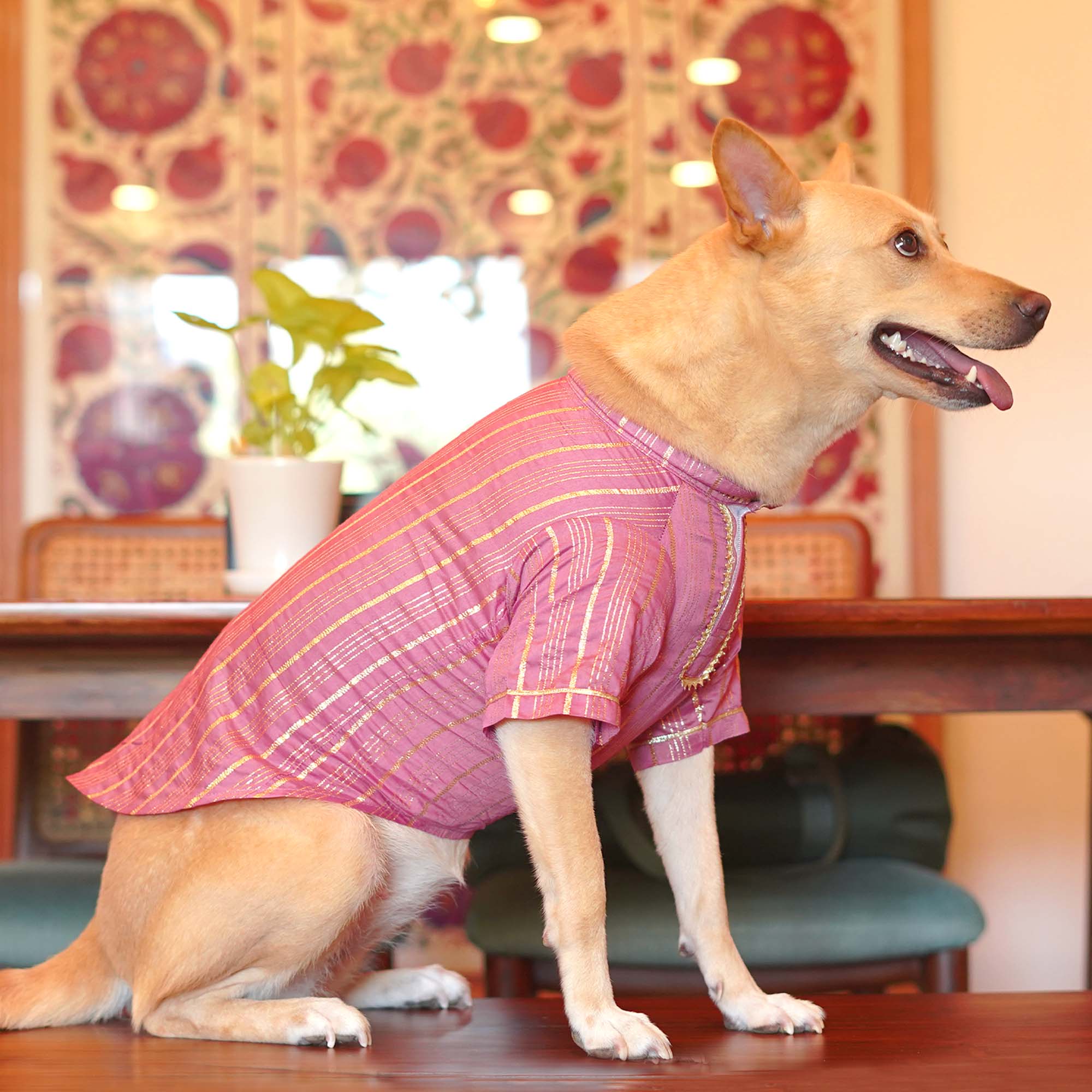 Gulabi Lehar Dog kurta Combo