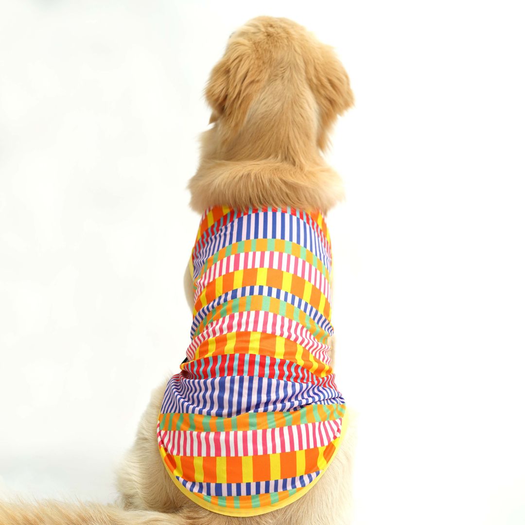 dog wear back side of Retro-Printed Dog Vest-petsway