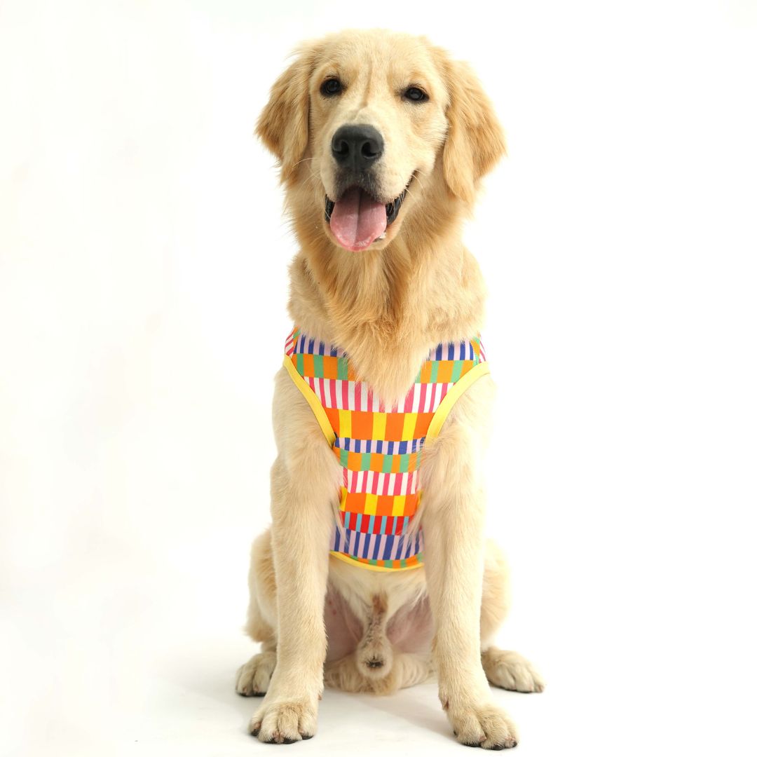 sitting dog wear Retro-Printed Dog Vest-petsway