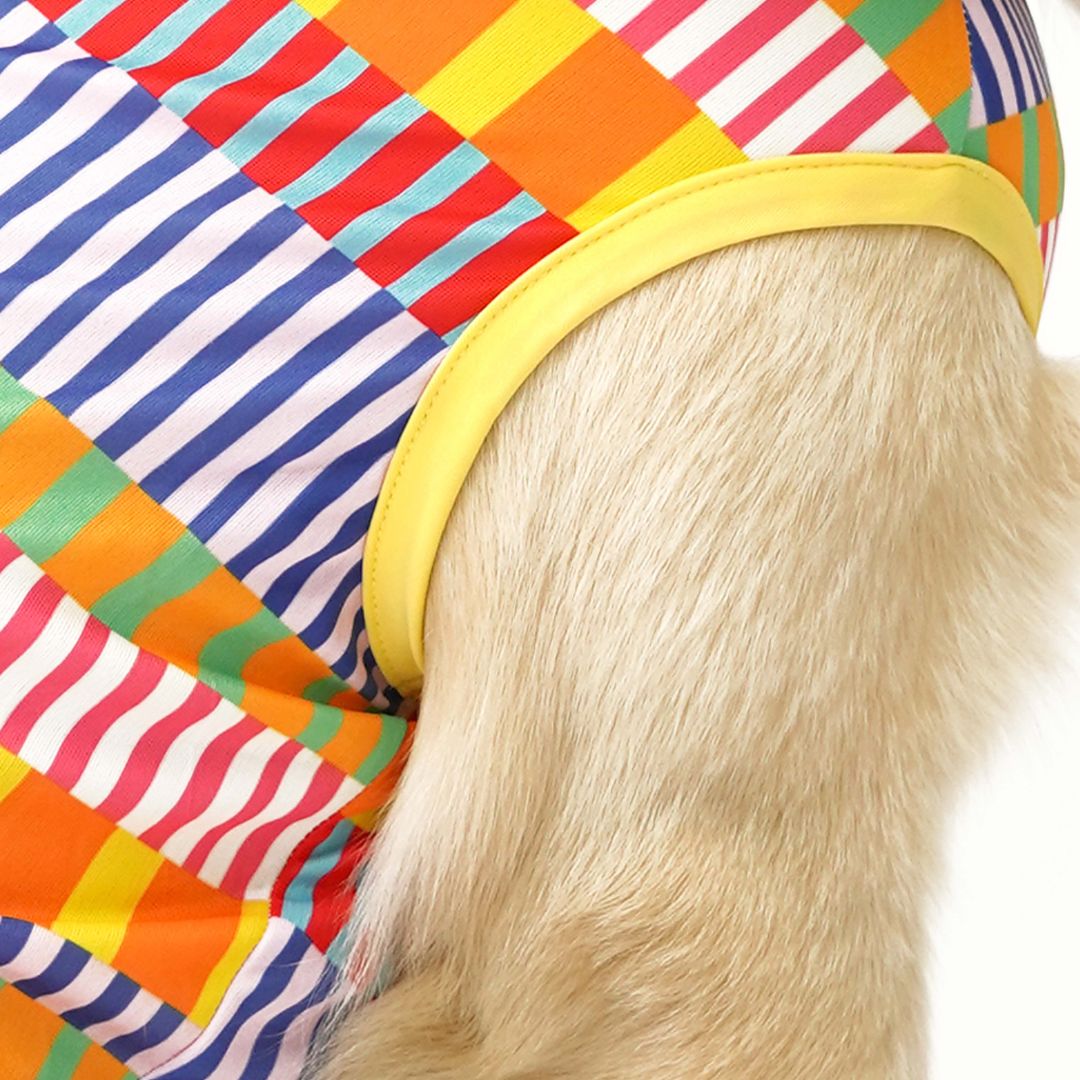 dog seelev Retro-Printed Dog Vest-petsway