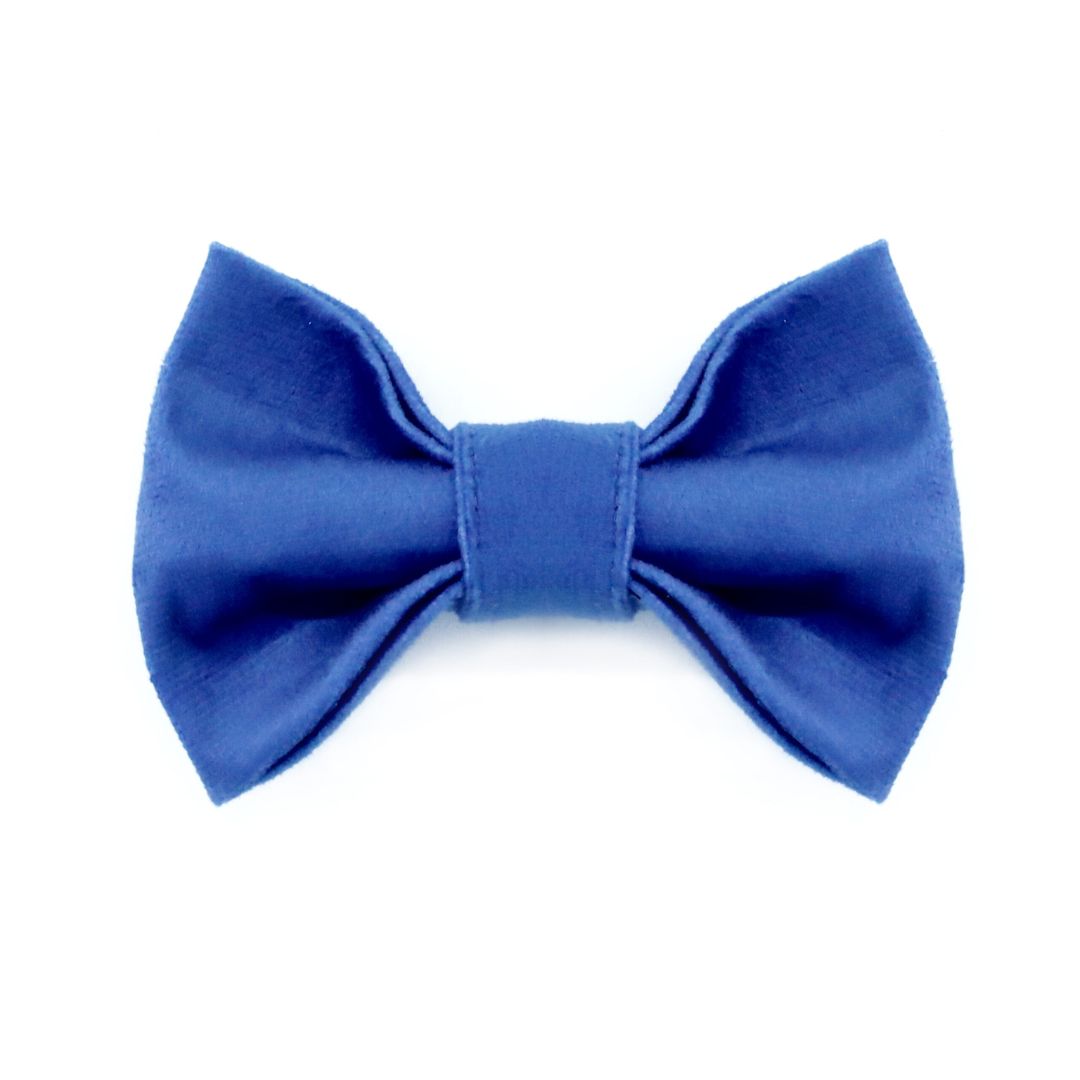 Royal Blue Luxury Velvet Bow Tie-petsway
