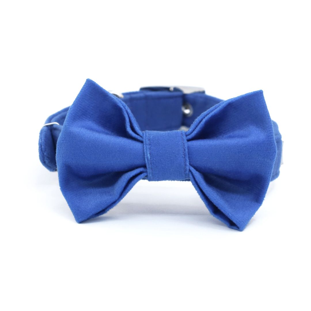 full size of Royal Blue Luxury Velvet Bow Tie-petsway