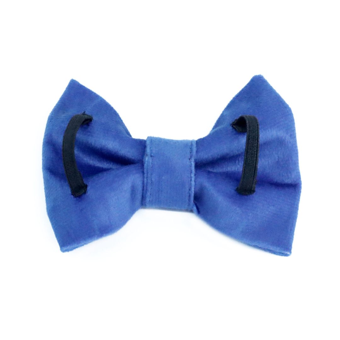 back side of Royal Blue Luxury Velvet Bow Tie-petsway