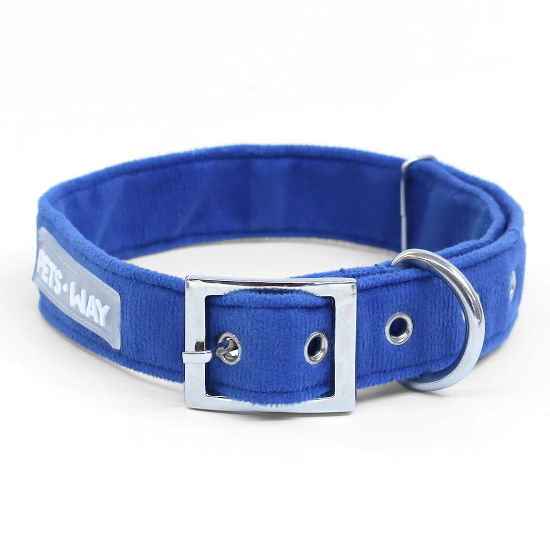 Royal Blue Dog Collar -petsway