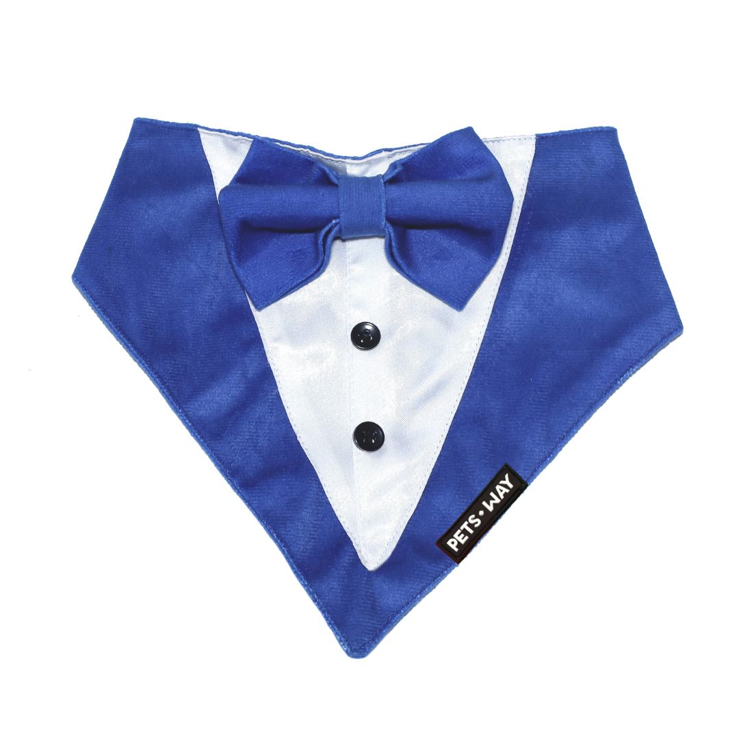Royal Blue Luxury Velvet Tuxedo-petsway