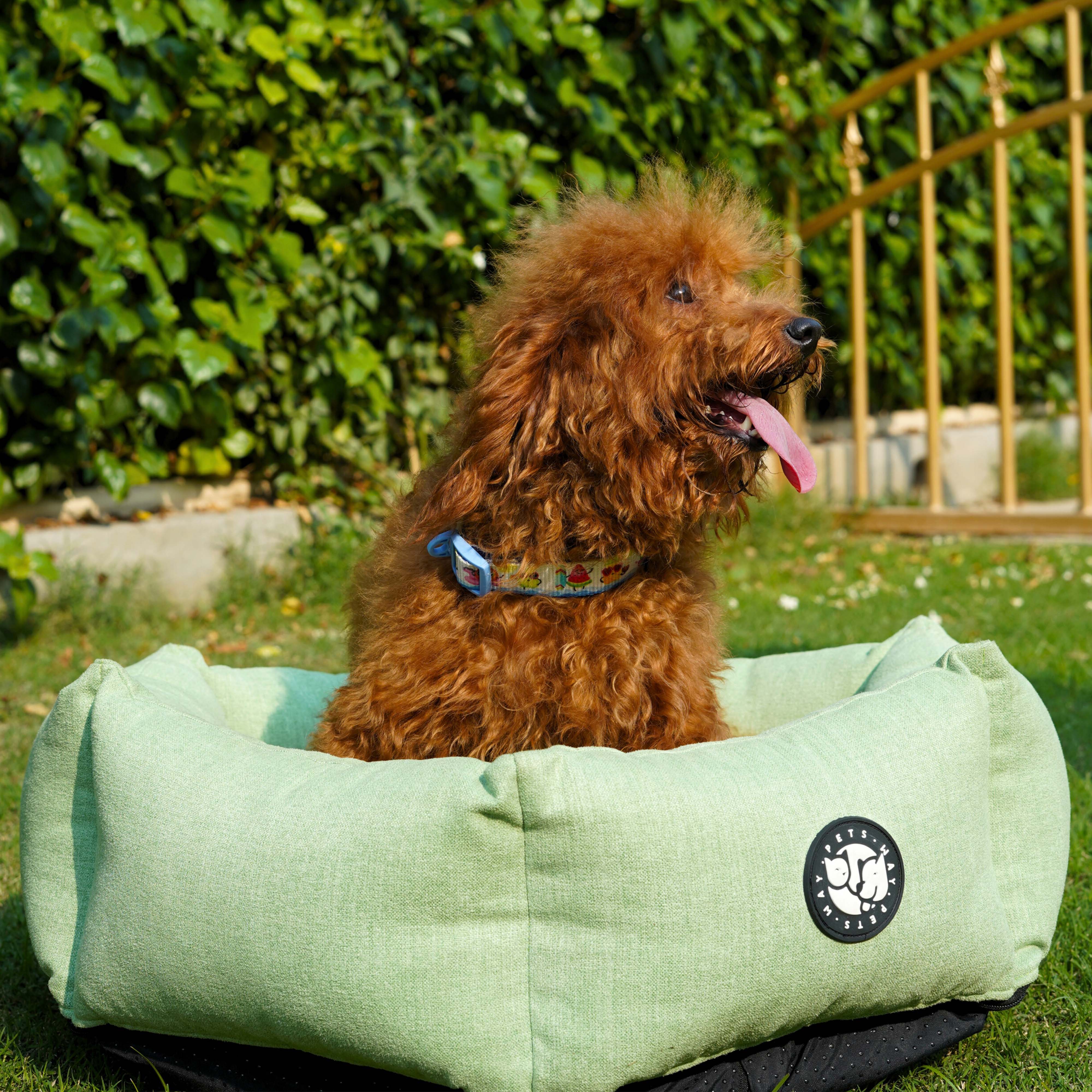 Sage Dog(Hexagonal Bed)