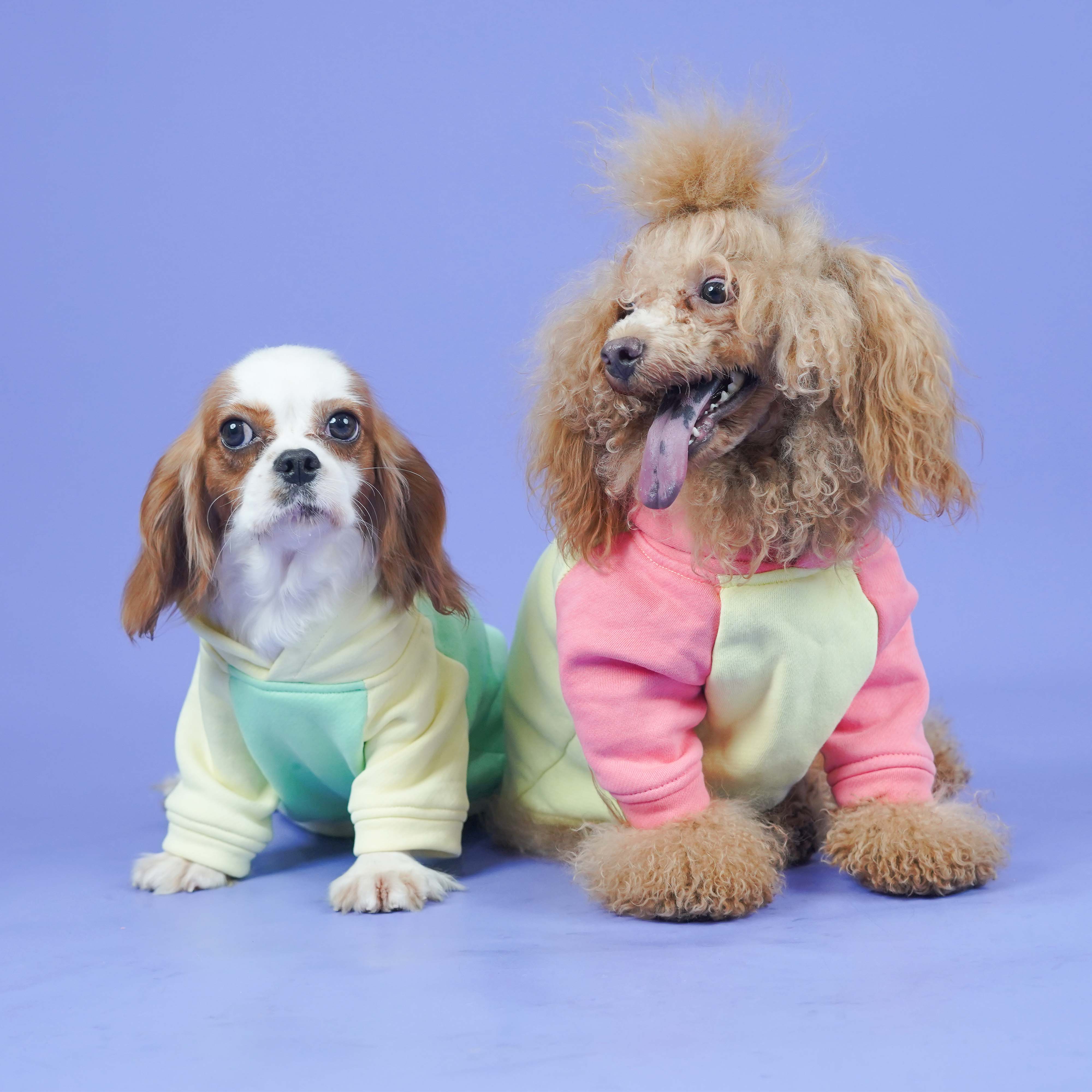 Icy Peak SweatShirt -Mint