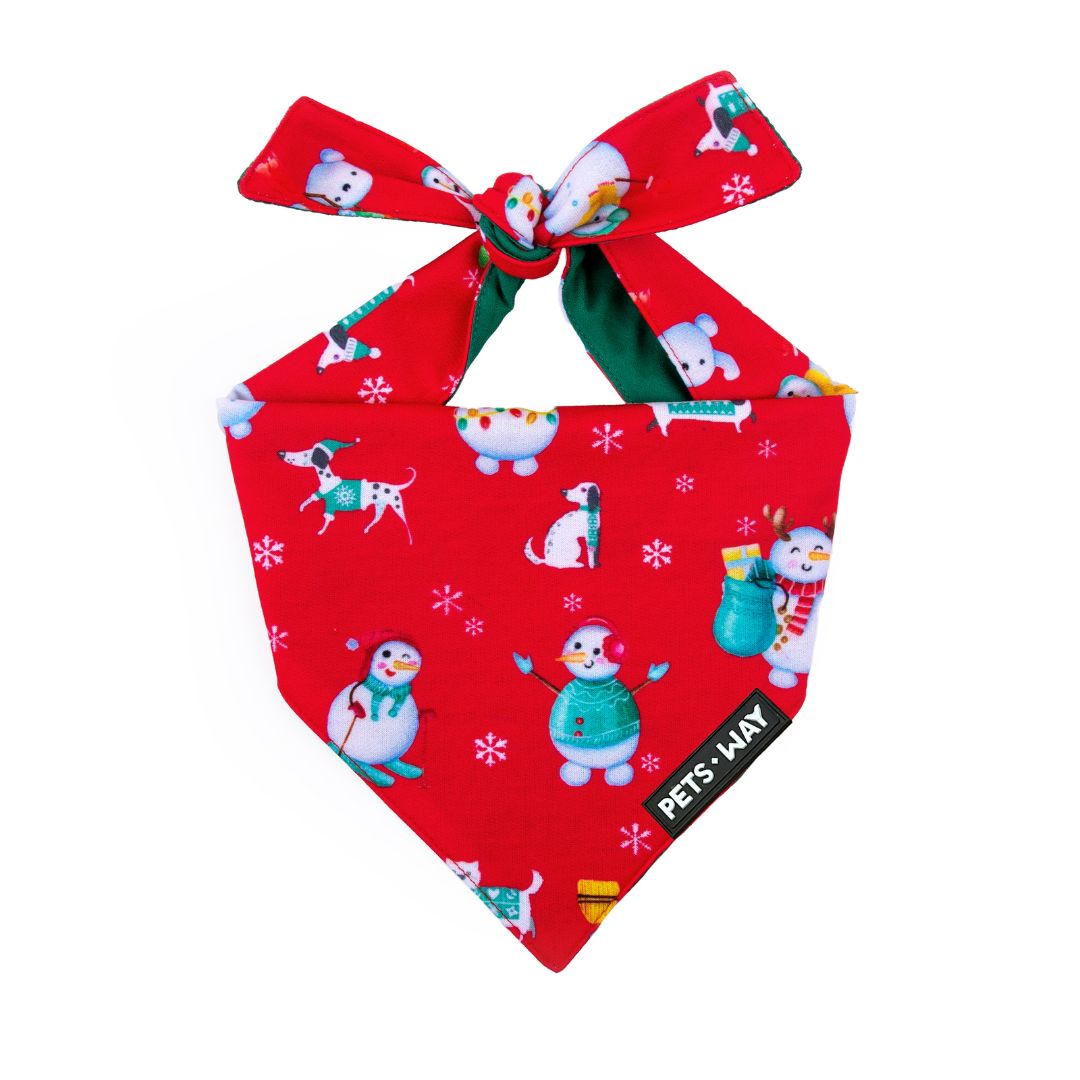Santa Party Bandana -petsway