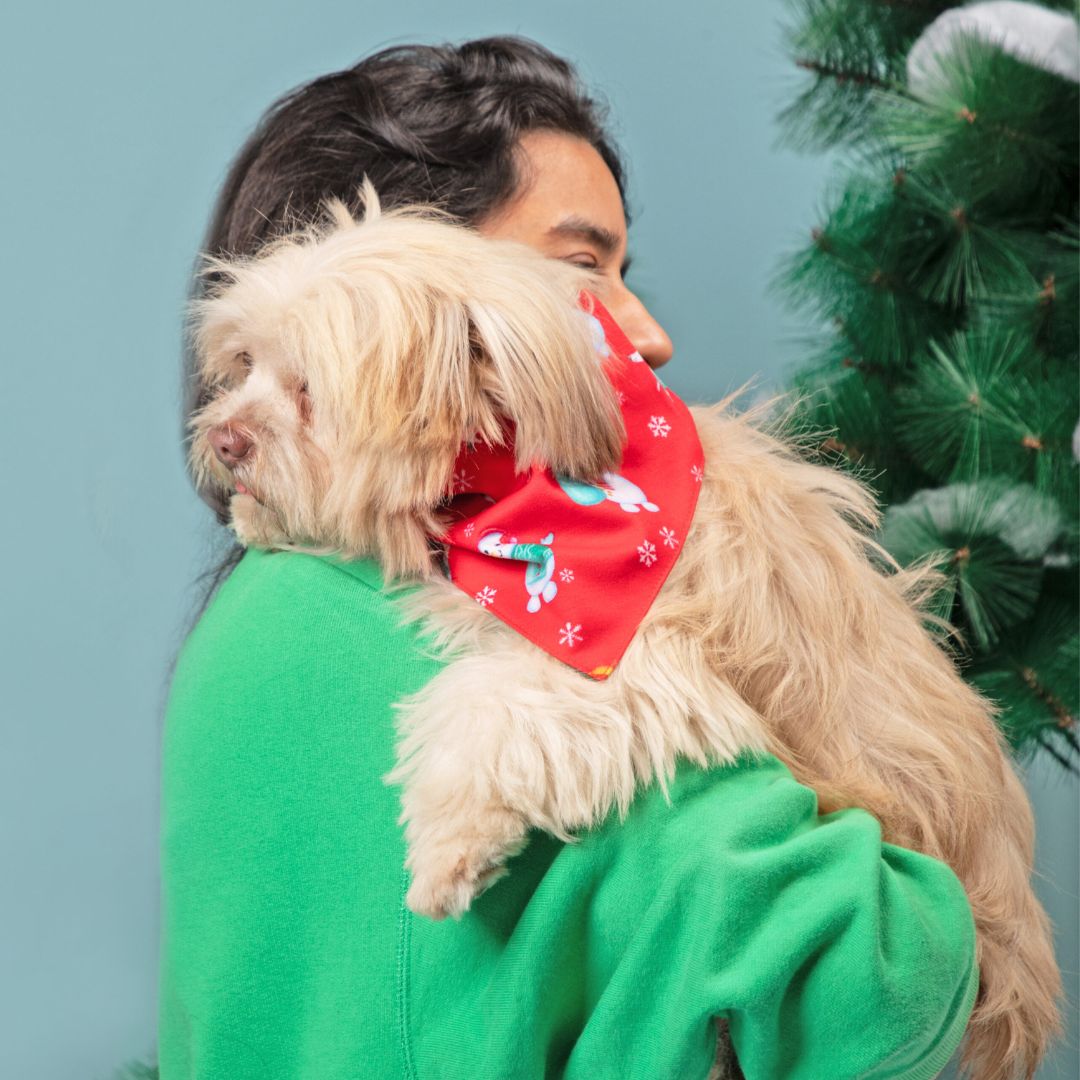 dog wear Santa Party Bandana -petsway
