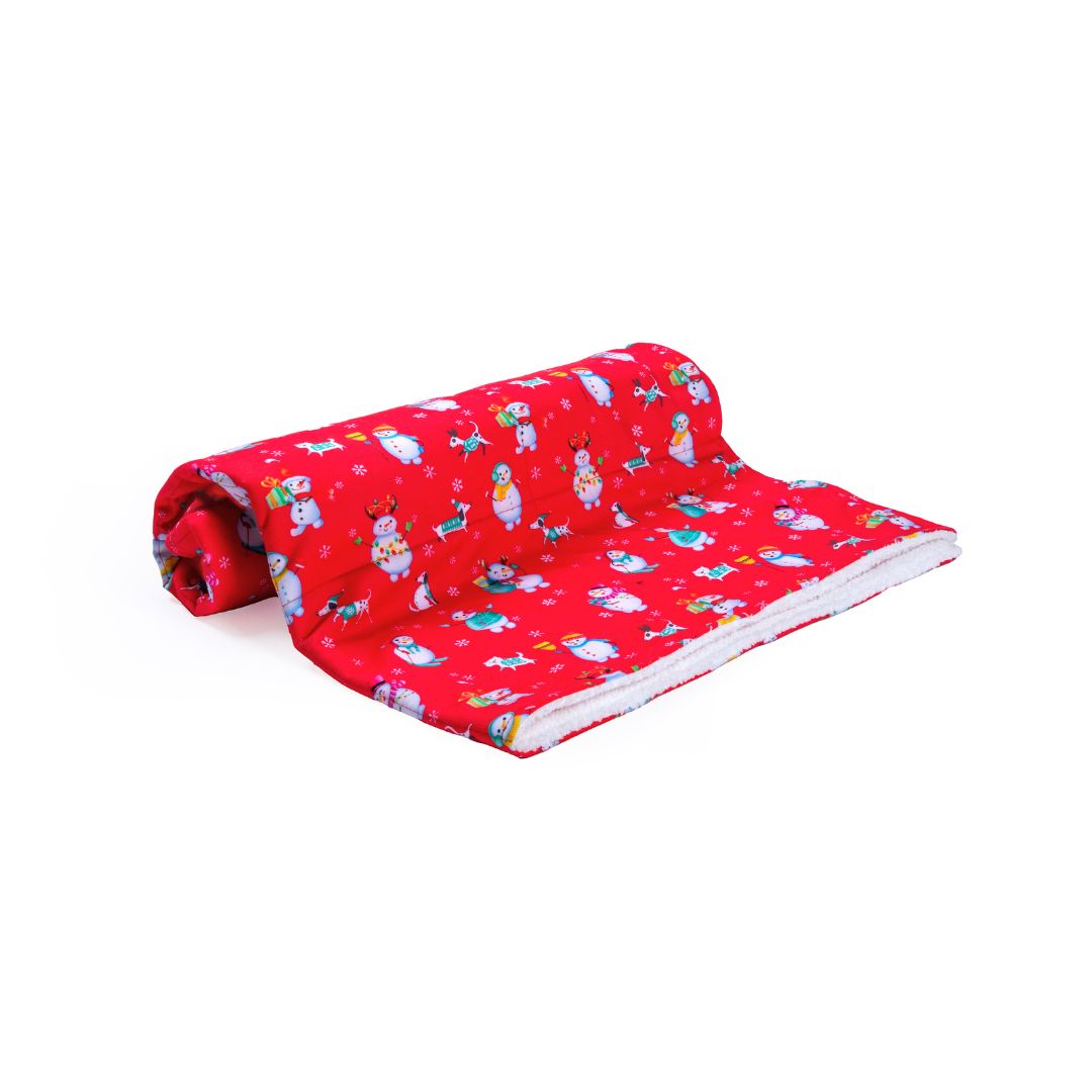 Santa Party Blanket Petsway
