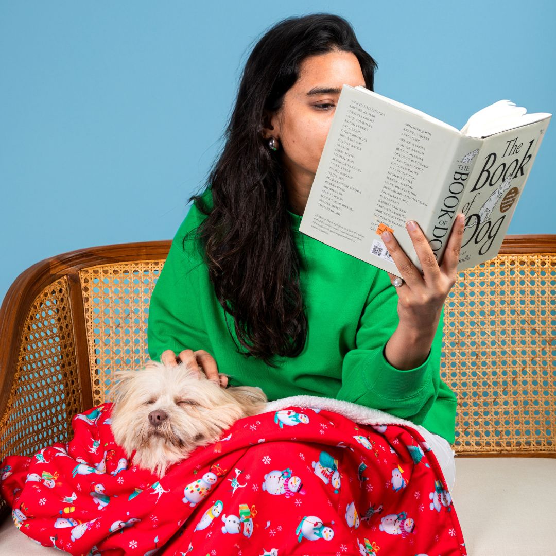 Cozy Santa Party Blanket Petsway