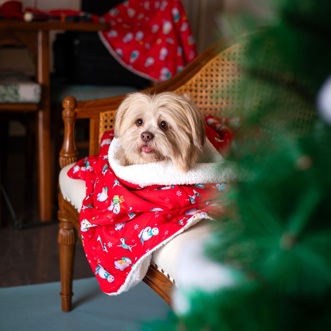 Cozy Santa Party Blanket Petsway