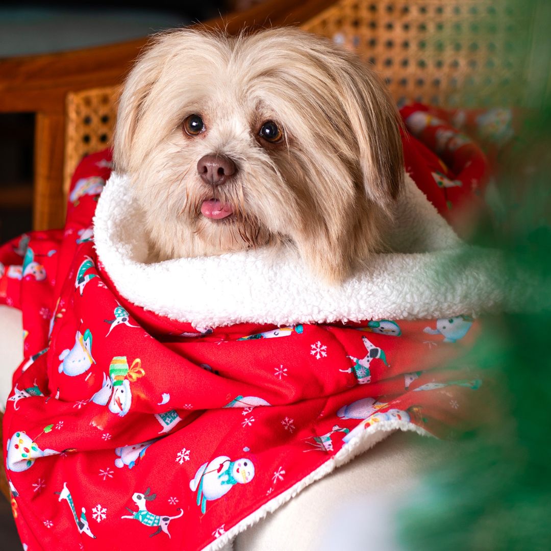 Warm Santa Party Blanket Petsway