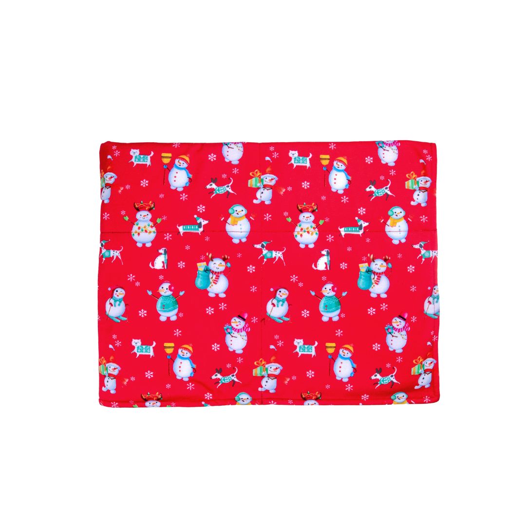 Front of Santa party Blanket Petsway