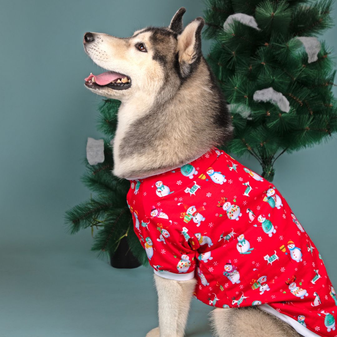 Wmar & Cozy Santa Party Sweatshirt Petsway