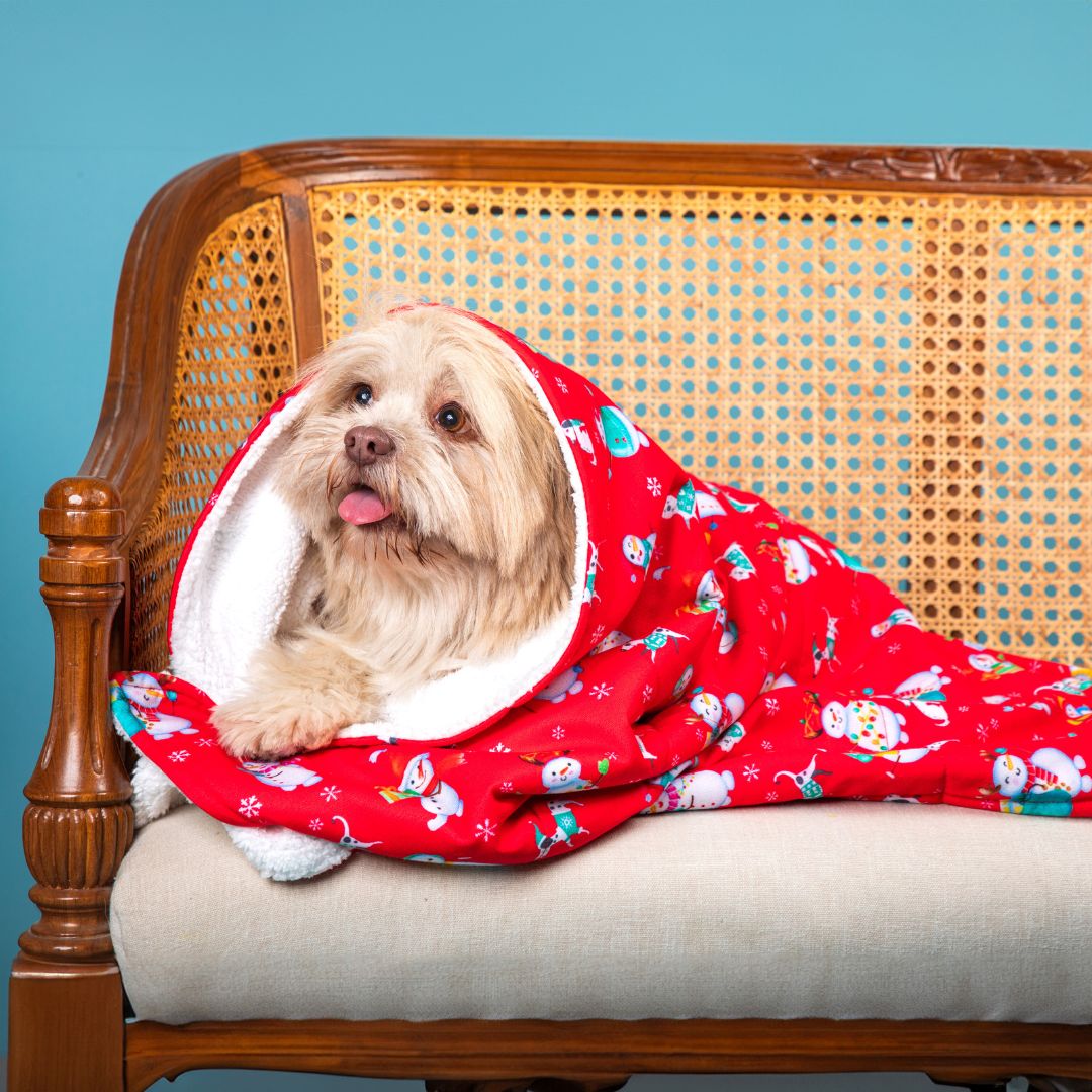 Stylish Santa Party Blanket Petsway