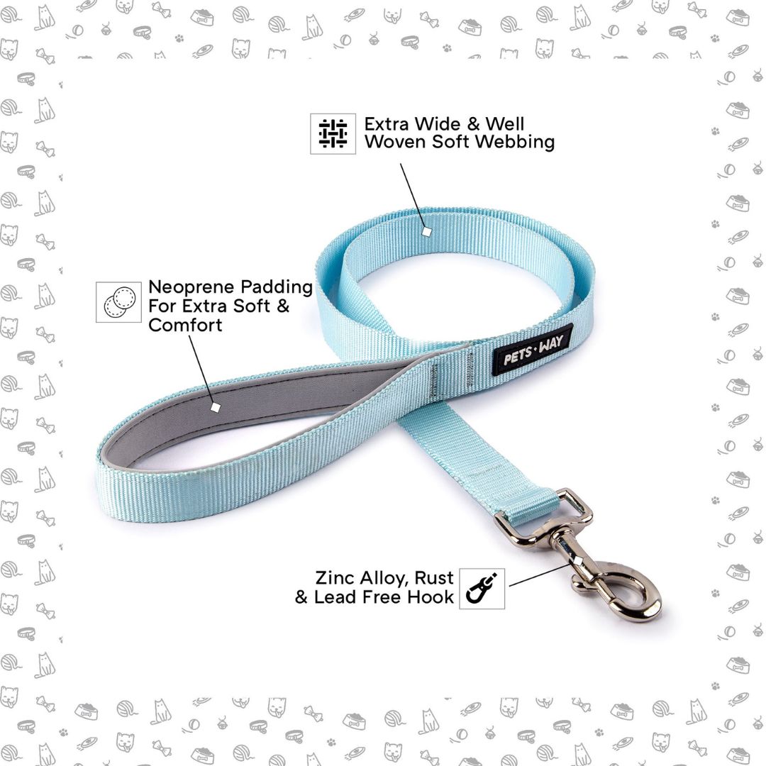 Feature image of Sky Dog Leash-petsway